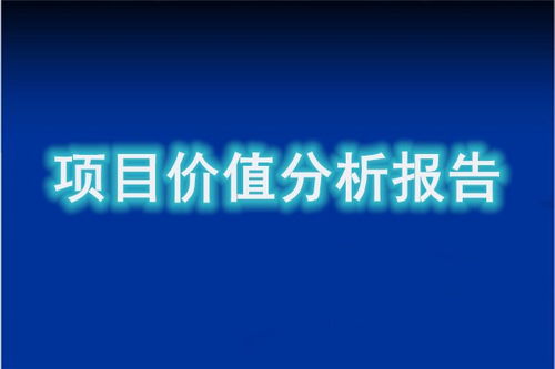 上思項(xiàng)目投資分析及資金管理公司企業(yè)管理咨詢方案